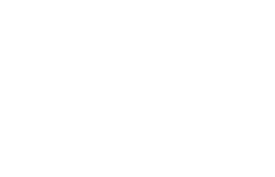 LOGO-FAST-RINO